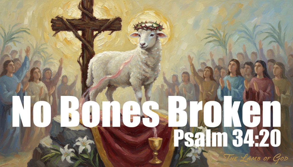 No Bones Broken for&nbsp;Jesus